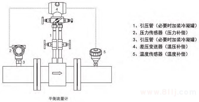 平衡孔板流量计结构组成